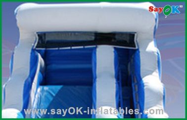 ভিজা শুকনো inflatable স্লাইড জল স্লাইড সঙ্গে inflatable কাসল স্লাইড এবং bouncer সঙ্গে নতুন inflatable কাসল