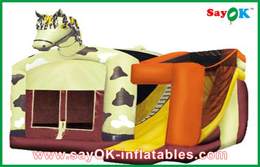 কার্টুন Inflatable বাউন্স শিশুদের জলপার্ক Inflatable Combos স্লাইড সঙ্গে