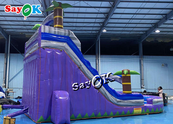 ভিজা শুকনো ইনফ্ল্যাটেবল স্লাইড ক্লিয়ারেন্স দুই লেন বড় গ্রীষ্মমন্ডলীয় পাম ট্রি স্প্ল্যাশ পুল সহ ইনফ্ল্যাটেবল ওয়াটার স্লাইড