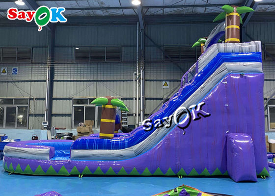 ভিজা শুকনো ইনফ্ল্যাটেবল স্লাইড ক্লিয়ারেন্স দুই লেন বড় গ্রীষ্মমন্ডলীয় পাম ট্রি স্প্ল্যাশ পুল সহ ইনফ্ল্যাটেবল ওয়াটার স্লাইড